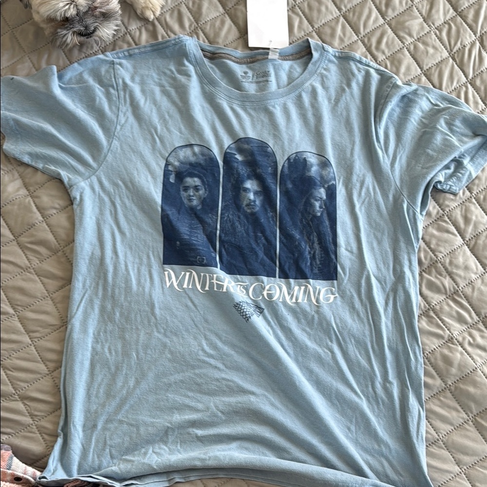 Game of Thrones Winter is coming T-Shirt